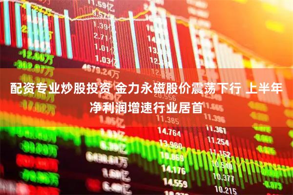 配资专业炒股投资 金力永磁股价震荡下行 上半年净利润增速行业居首