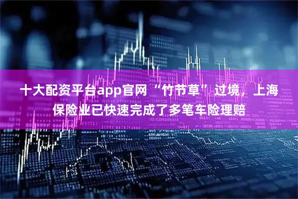 十大配资平台app官网 “竹节草” 过境，上海保险业已快速完成了多笔车险理赔
