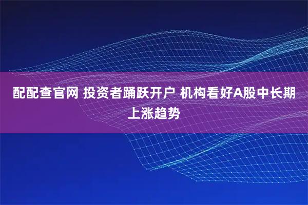 配配查官网 投资者踊跃开户 机构看好A股中长期上涨趋势